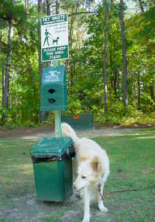 DVD smelling pet station in Virginia