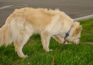 Smelling the North Sommerset Service Plaza